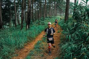 BIB: 
                            <button type="button" onclick="openModal(25658066)" class="btn btn-primary btn-sm float-right btn-popup" data-toggle="modal" data-target=".modal-high-quality">
                        <i class="fas fa-shopping-cart"></i> Add to Cart
                    </button>
                                            <button type="button" onclick="isThisMe(25658066, true)" class="btn btn-success btn-sm float-right btn-popup btn-isme hidden" data-toggle="tooltip" data-placement="bottom" title="นี่คือรูปของคุณใช่ไหม คลิกที่นี่เพื่อเอาเข้าอัลบั้ม">
                        <i class="fas fa-plus"></i> Add to album
                    </button>
                    <button type="button" onclick="isThisMe(25658066, false)" class="btn btn-warning btn-sm float-right btn-popup btn-isnotme hidden">
                        <i class="fas fa-ban"></i> Remove from album
                    </button>